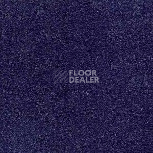 Ковролин Radici Admiral Midnight 2213 фото 1 | FLOORDEALER